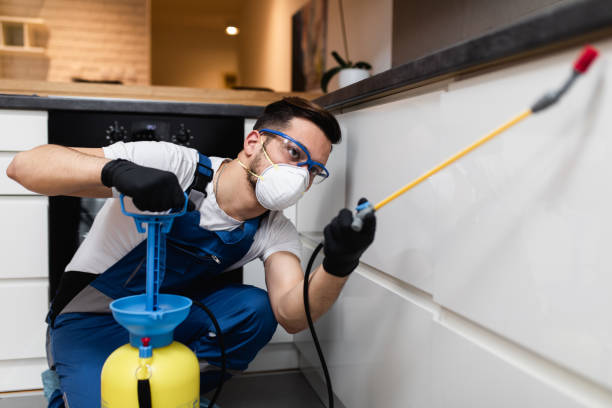 Best Bed Bug Extermination  in South San Jose Hills, CA