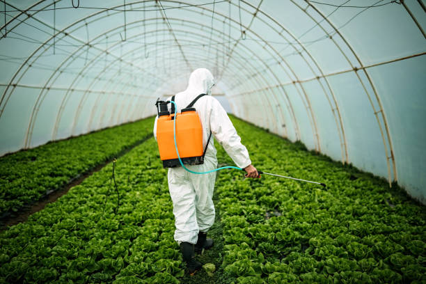 Reliable South San Jose Hills, CA Pest Control Solutions