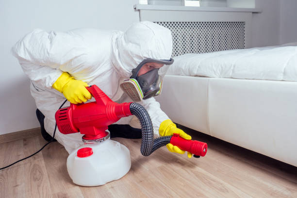 Best Exterminator Services  in South San Jose Hills, CA