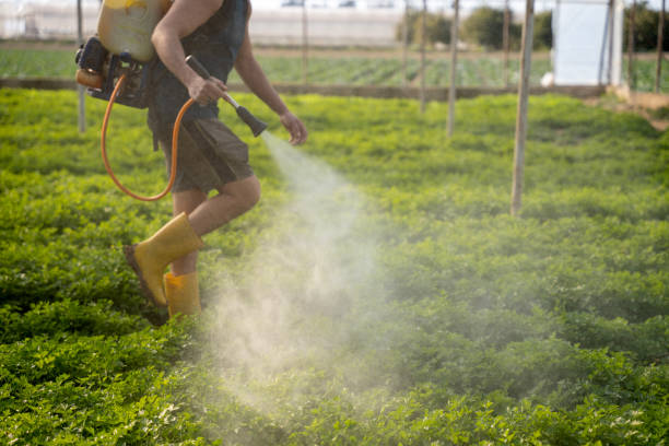 Best Commercial Pest Control Services  in South San Jose Hills, CA