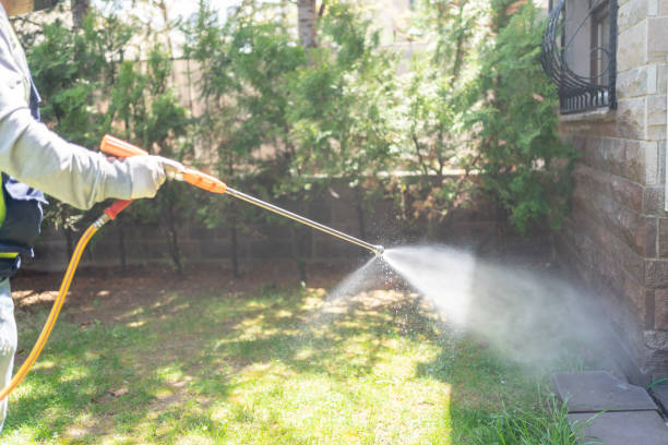 Best Ant Control Services  in South San Jose Hills, CA